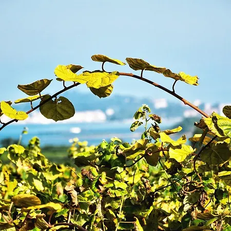 Apartamento Perdices *