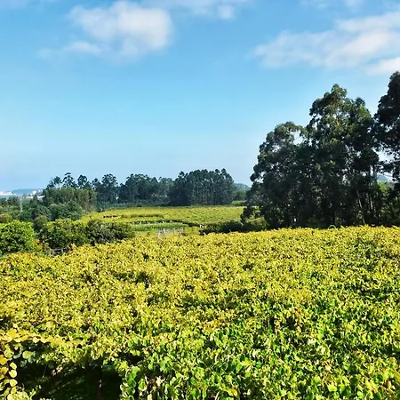 Perdices Apartamento Pontevedra