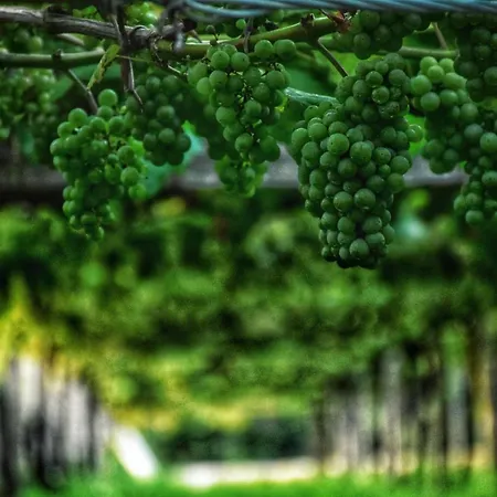 Apartamento Perdices